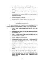 Referāts 'Pētera Aigara romāns "Lietuvēna dzīres"', 16.