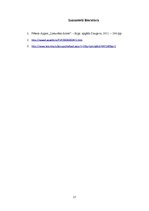 Referāts 'Pētera Aigara romāns "Lietuvēna dzīres"', 17.