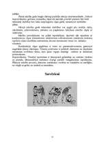 Referāts 'Sambo', 13.