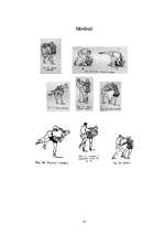 Referāts 'Sambo', 14.