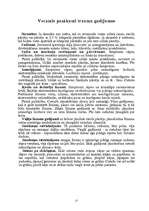 Referāts 'Sambo', 17.