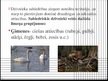 Prezentācija 'Dzīvnieku sabiedrības', 5.