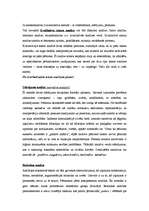 Konspekts 'Teksta analīze', 2.