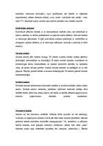 Konspekts 'Teksta analīze', 3.