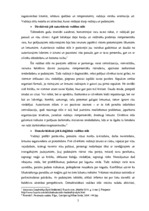 Referāts 'Uzņēmējdarbības vadīšanas ētikas problēmas un to risinājumi uzņēmumu "X" un "Y" ', 5.