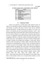 Referāts 'Uzņēmējdarbības vadīšanas ētikas problēmas un to risinājumi uzņēmumu "X" un "Y" ', 9.