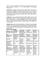 Referāts 'Uzņēmējdarbības vadīšanas ētikas problēmas un to risinājumi uzņēmumu "X" un "Y" ', 69.