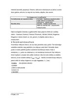 Referāts 'Skalas - to veidošana, klasifikācija un pielietojums', 5.