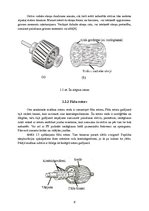 Referāts 'Asinhronās piedziņas ātruma regulēšana', 6.