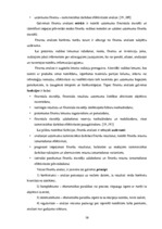 Diplomdarbs 'SIA "LBK Invest" saimnieciskās darbības analīze un pilveidošanas virzieni.', 10.