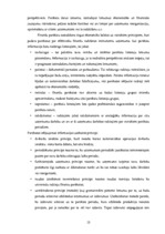 Diplomdarbs 'SIA "LBK Invest" saimnieciskās darbības analīze un pilveidošanas virzieni.', 13.
