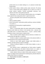 Diplomdarbs 'SIA "LBK Invest" saimnieciskās darbības analīze un pilveidošanas virzieni.', 14.