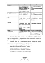 Diplomdarbs 'SIA "LBK Invest" saimnieciskās darbības analīze un pilveidošanas virzieni.', 41.