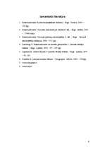 Referāts 'Konstruktīvisms, tā spilgtākās izpausmes 20.gs. kultūrā', 6.