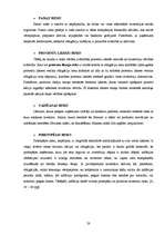 Referāts 'Investīciju būtība', 28.