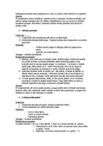 Konspekts 'Rotaļsituācijas veselā dalīšanai daļās', 2.