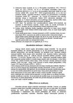 Referāts 'Datoru akustiskās sistēmas', 5.