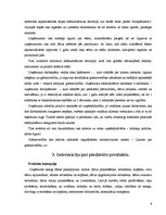 Biznesa plāns 'SIA "Ideju dārzs"', 6.
