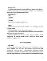 Biznesa plāns 'SIA "Ideju dārzs"', 7.