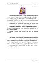 Eseja 'Kādu es redzu lauku uzņēmēja tēlu', 2.