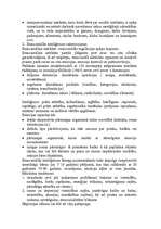 Eseja 'Empātija', 2.