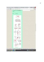 Referāts 'Darījumi valūtas tirgū, to veidi', 37.