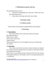 Referāts 'Mārketinga koncepcija', 7.
