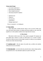 Referāts 'Mārketinga koncepcija', 9.