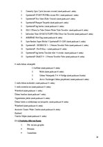 Referāts 'Mārketinga koncepcija', 16.