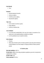 Referāts 'Mārketinga koncepcija', 25.