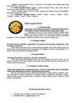 Referāts 'Kartupeļi', 3.