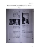 Diplomdarbs 'Veselīgs dzīvesveids” apguve dabaszinībās 3. klasē', 72.