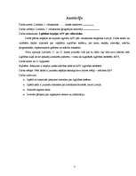 Referāts 'Izglītības iespējas ASV pēc vidusskolas', 3.