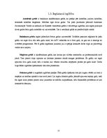 Referāts 'Izglītības iespējas ASV pēc vidusskolas', 10.