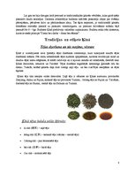 Konspekts 'Ķīna', 6.