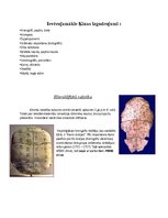 Konspekts 'Ķīna', 15.