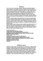 Konspekts 'Reklāma', 1.