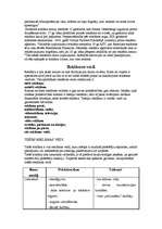 Konspekts 'Reklāma', 2.