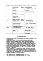 Konspekts 'Reklāma', 3.