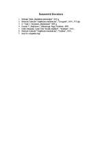 Konspekts 'Reklāma', 11.