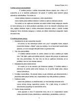 Referāts 'Uzņēmuma IT drošības politika', 2.