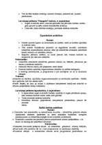 Konspekts 'Valsts budžets', 6.