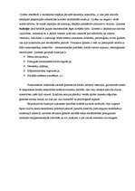 Konspekts 'Ģimene', 3.