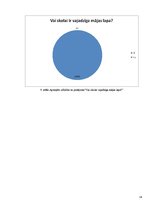 Referāts 'Mājas lapas izveidošana', 14.