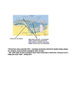 Konspekts 'Uzbudināmo audu fizioloģija', 2.