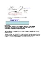 Konspekts 'Uzbudināmo audu fizioloģija', 7.