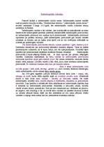 Eseja 'Indoeiropiešu valodas', 1.