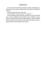 Referāts 'Krājumu nozīme uzņēmējdarbībā', 3.