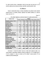 Referāts 'Krājumu nozīme uzņēmējdarbībā', 18.