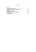 Referāts 'Latviešu valodas pētnieciskais darbs', 16.